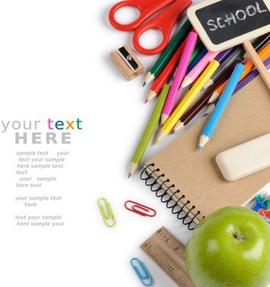 白色大蒜花 辦公環境中的自然點綴