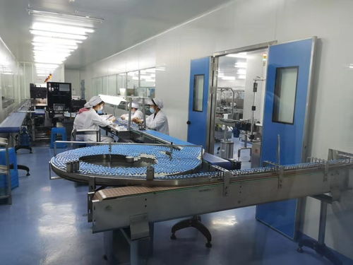 哈新區(qū)平房片區(qū)食品、醫(yī)藥民生企業(yè)有序復(fù)工復(fù)產(chǎn)